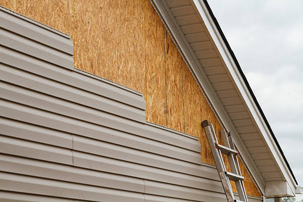 Professional Wood Siding technician working in Blackville, SC